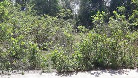 Land for sale in Tinago, Bohol