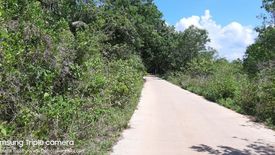 Land for sale in Tinago, Bohol
