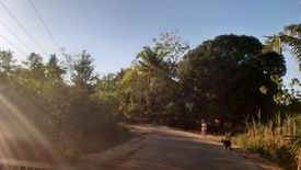Land for sale in San Isidro, Bohol