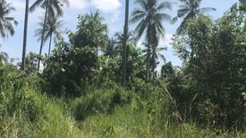 Land for sale in Thung Maphrao, Phang Nga