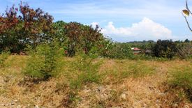 Land for sale in Talamban, Cebu