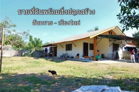 Land for sale in Nong Han, Chiang Mai