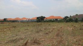 Land for sale in Pho Chai, Nong Khai