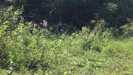 Land for sale in Jerantut, Pahang