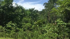 Land for sale in Jerantut, Pahang