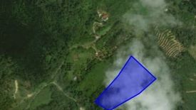 Land for sale in Jerantut, Pahang