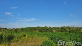 Land for sale in Mae Ngoen, Chiang Rai