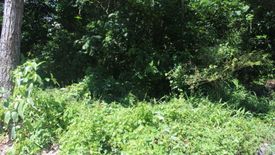 Land for sale in Banilad, Cebu