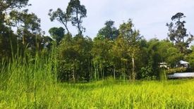 Land for sale in Batang Kali, Selangor