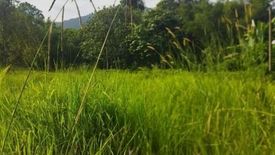 Land for sale in Batang Kali, Selangor