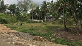 Land for sale in Tiptip, Bohol