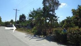 Land for sale in San Vicente, Tarlac