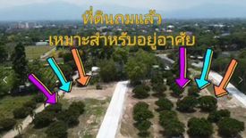 Land for sale in Nong Han, Chiang Mai