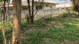 Land for sale in Don Kaeo, Chiang Mai