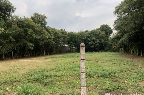 Land for sale in Nong Prue, Chonburi