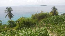 Land for sale in Bangcogon, Cebu