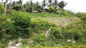 Land for sale in Bangcogon, Cebu