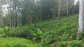 Land for sale in Batang Kali, Selangor