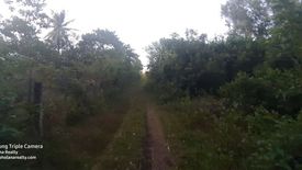 Land for sale in Tawala, Bohol