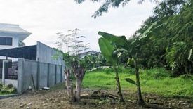 Land for sale in Don Bosco, Metro Manila