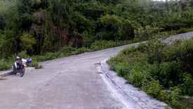 Land for sale in San Roque, Cebu