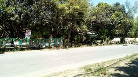 Land for sale in Majada Labas, Laguna