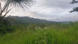 Land for sale in Pulangbato, Cebu