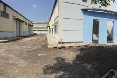 Commercial for rent in Duc Hoa Dong, Long An