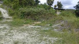 Land for sale in Poblacion III, Cebu