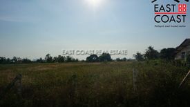 Land for sale in Nong Prue, Chonburi