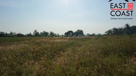 Land for sale in Nong Prue, Chonburi