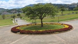 Land for sale in Talamban, Cebu