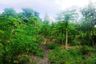Tanah dijual dengan  di Air Mata, Nusa Tenggara Timur
