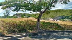 Land for sale in San Roque, Cebu