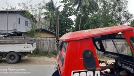 Land for sale in Dao, Bohol