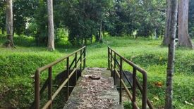 Land for sale in Kampung Rantau Panjang, Selangor