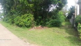 Land for sale in Lourdes, Bohol