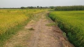 Land for sale in Bang Yi Tho, Phra Nakhon Si Ayutthaya