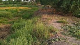 Land for sale in Bang Yi Tho, Phra Nakhon Si Ayutthaya