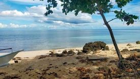 Land for sale in Maravilla, Cebu