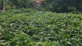 Land for sale in Pasong Tamo, Metro Manila