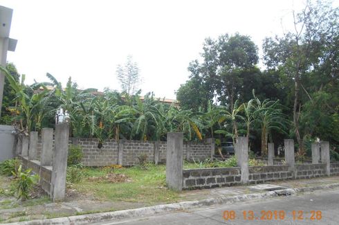 Land for sale in Balibago, Laguna