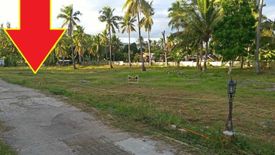 Land for sale in Guiwang, Cebu