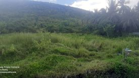 Land for sale in Poblacion, Bohol