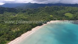 Land for sale in Marufinas, Palawan