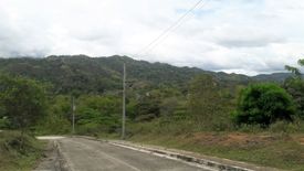 Land for sale in Pulangbato, Cebu