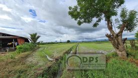 Land for sale in Dalumay, Davao del Sur