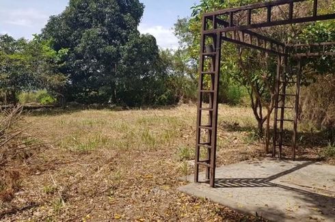 Land for sale in Antipolo, Rizal