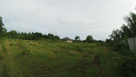 Land for sale in Tinago, Bohol