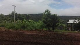 Land for sale in Mae Sap, Chiang Mai